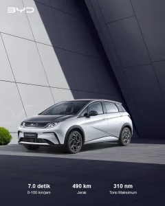 review byd dolphin 